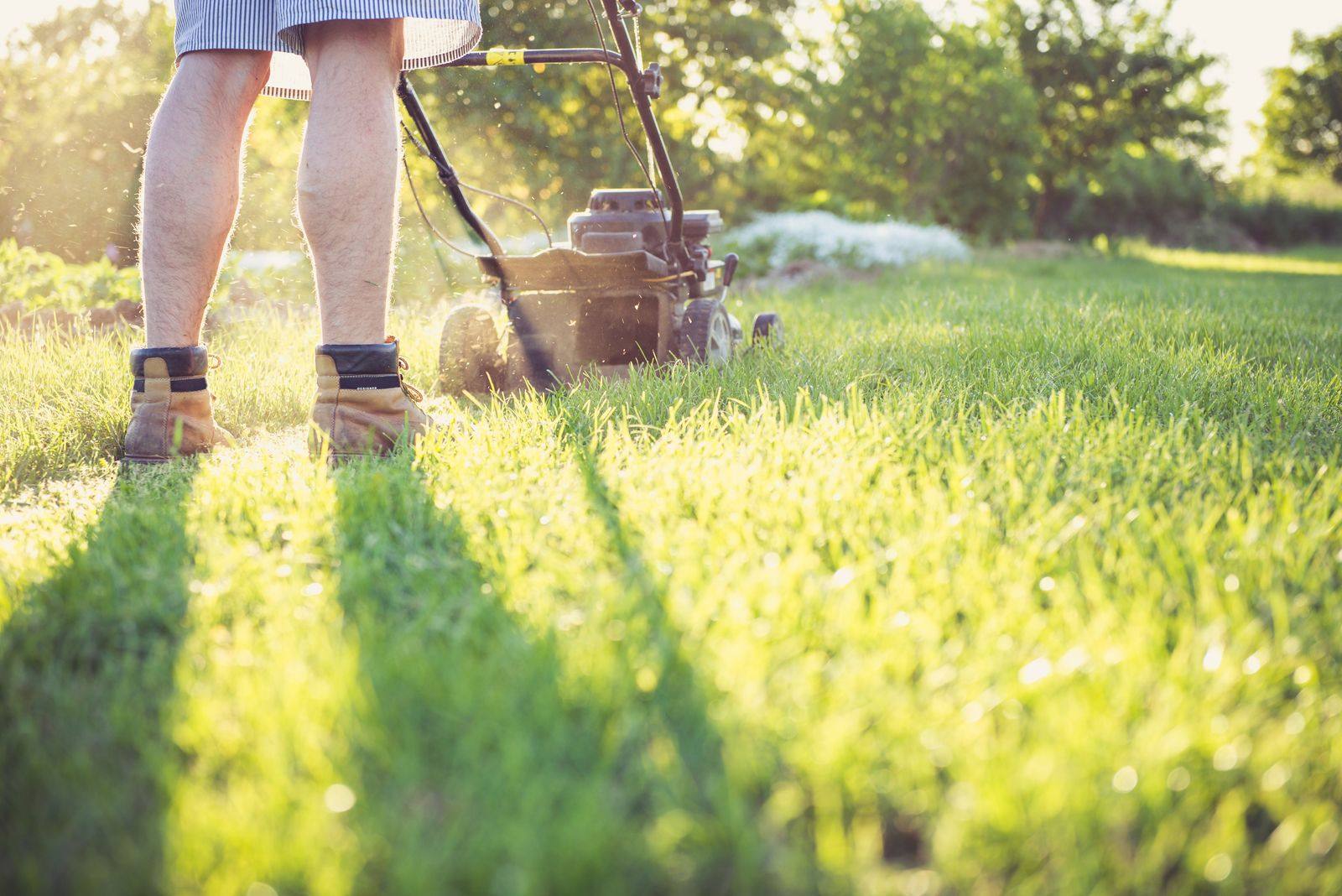 Close view of a lawn mower cutting grass