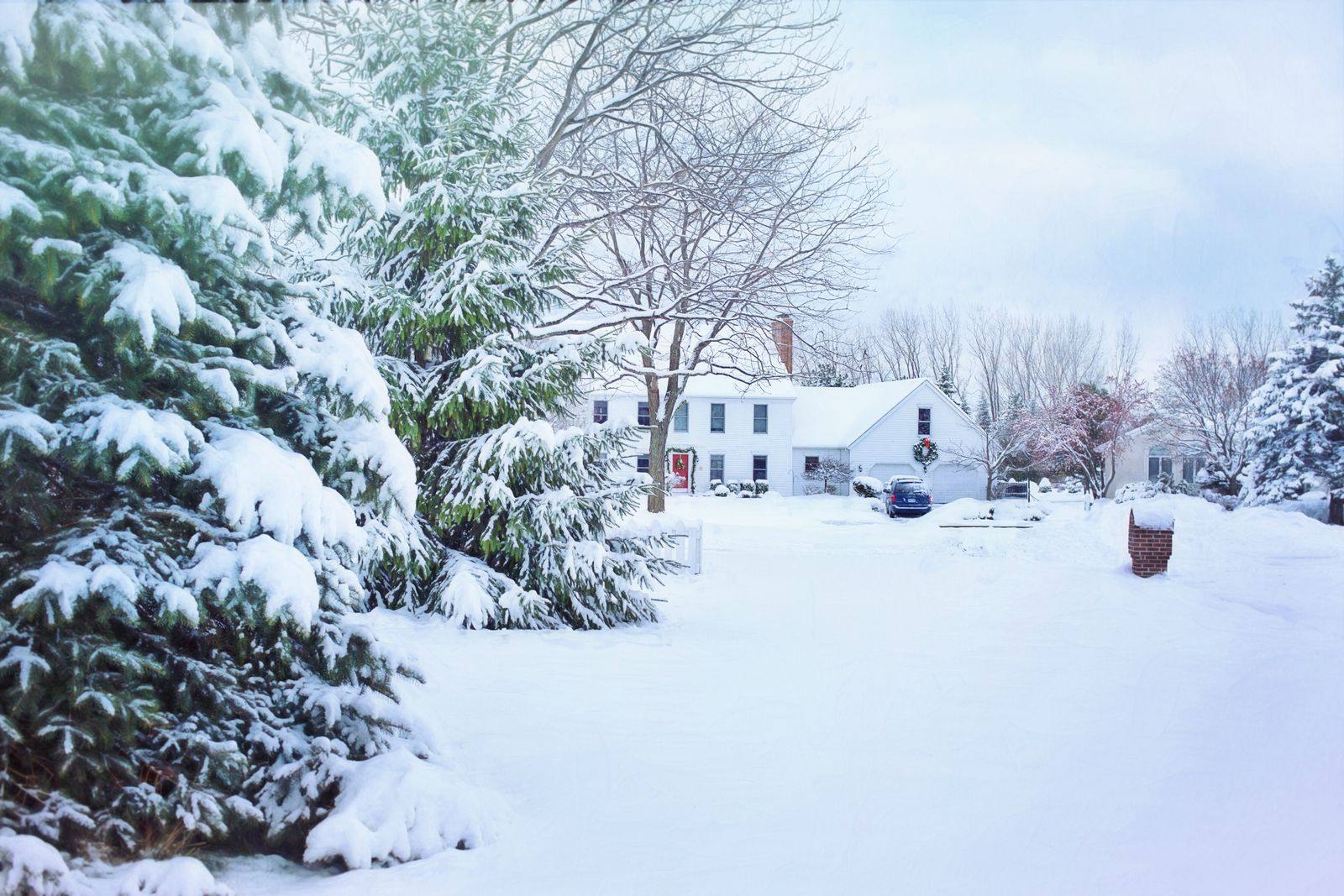 Snowy street with a white house behind pine trees